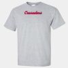 Ultra Cotton ® 100% US Cotton T Shirt Thumbnail